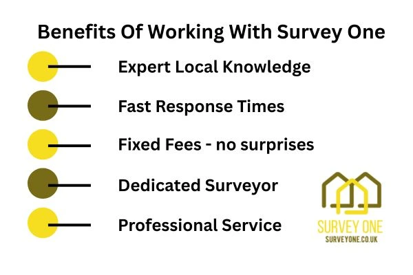Benefits Of Working With Survey One Camden